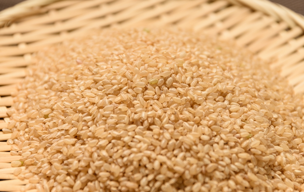 玄米は“稲の種”